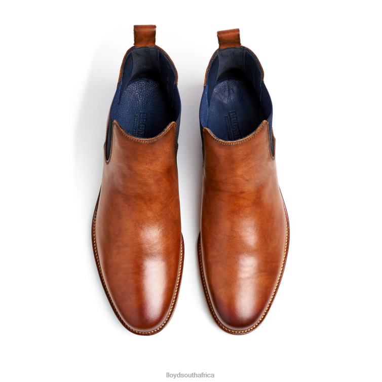 Shoes brown LLOYD LAWRENCE Men 86B4D453