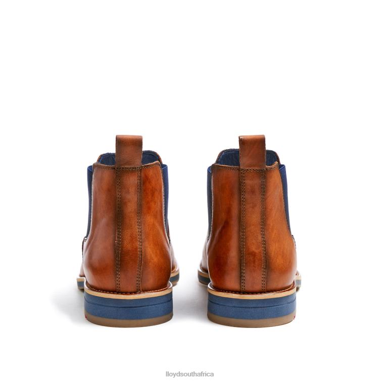 Shoes brown LLOYD LAWRENCE Men 86B4D453