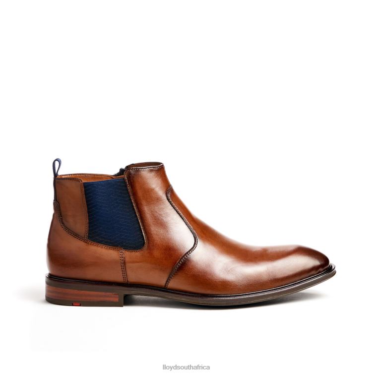 Shoes brown LLOYD MATTEO Men 86B4D12