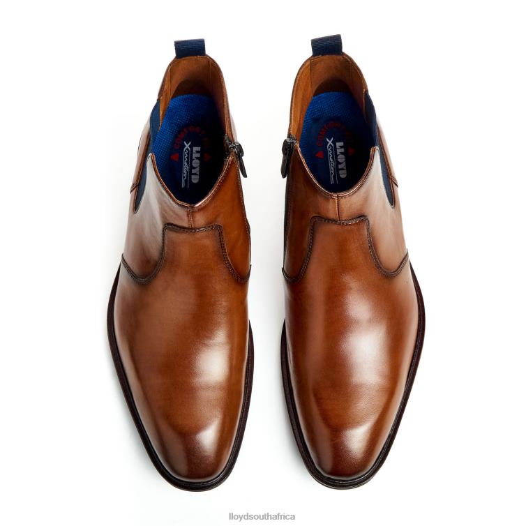 Shoes brown LLOYD MATTEO Men 86B4D12