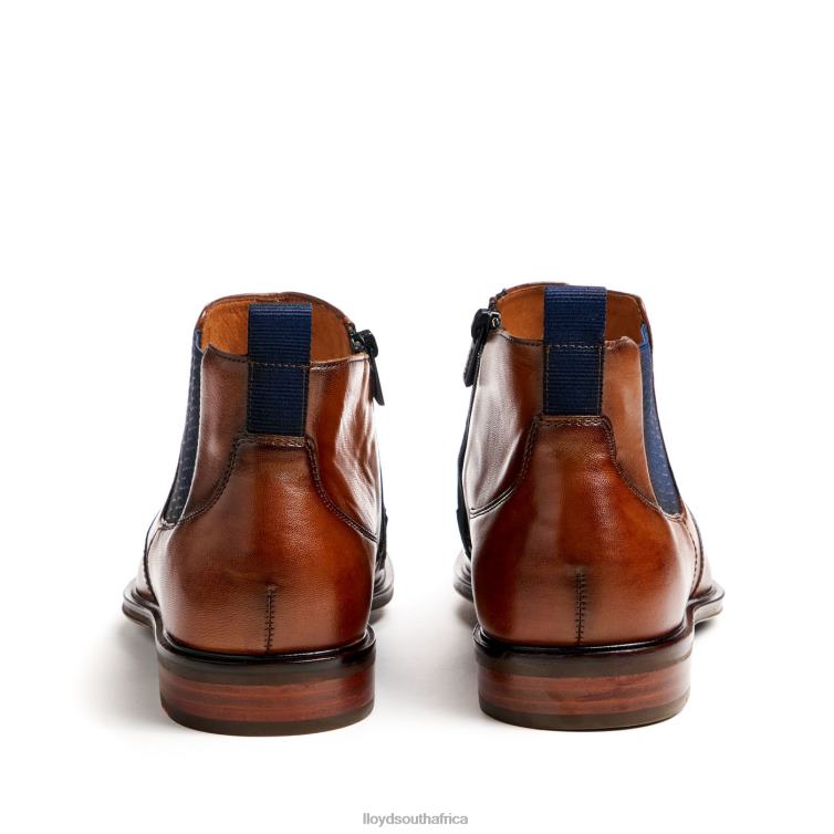 Shoes brown LLOYD MATTEO Men 86B4D12