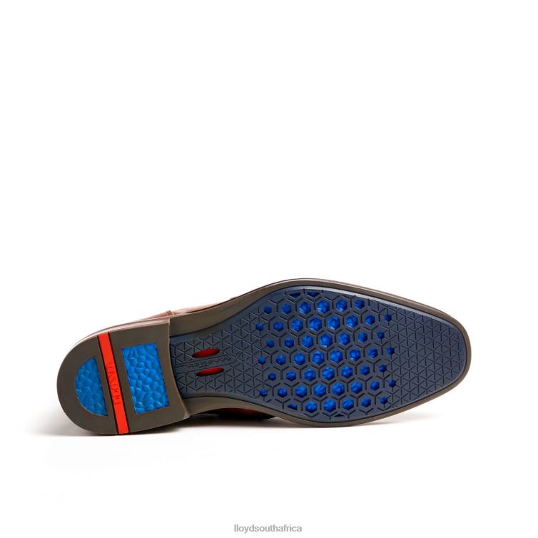 Shoes brown LLOYD MATTEO Men 86B4D12