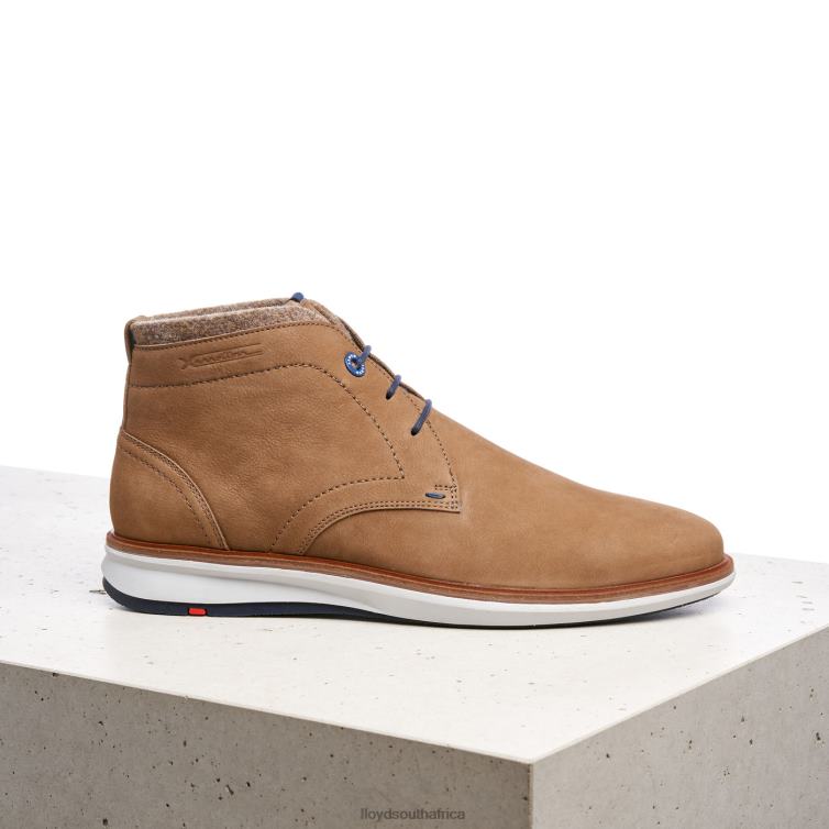 Shoes brown LLOYD MAXWELL Men 86B4D275