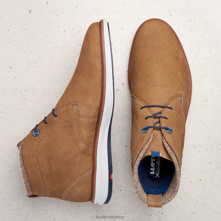 Shoes brown LLOYD MAXWELL Men 86B4D275