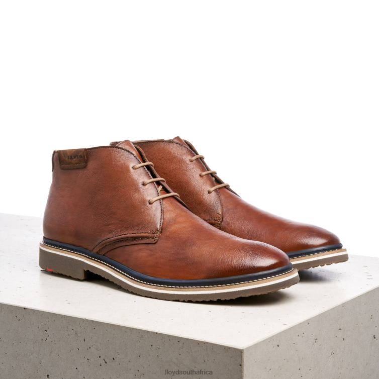 Shoes brown LLOYD NORKO Men 86B4D554