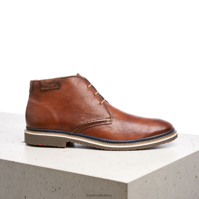 Shoes brown LLOYD NORKO Men 86B4D554