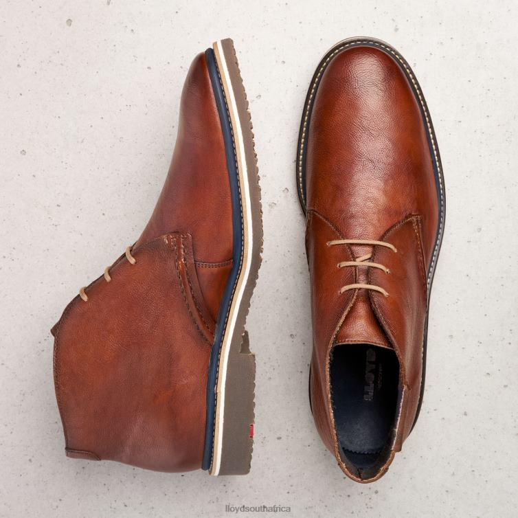 Shoes brown LLOYD NORKO Men 86B4D554