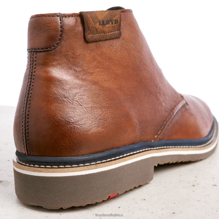 Shoes brown LLOYD NORKO Men 86B4D554