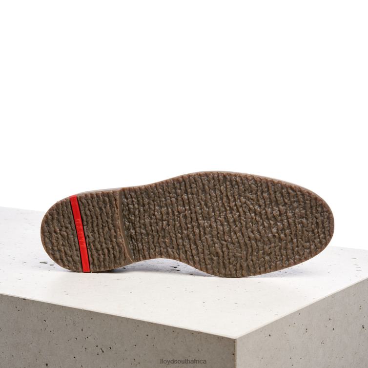 Shoes brown LLOYD NORKO Men 86B4D554