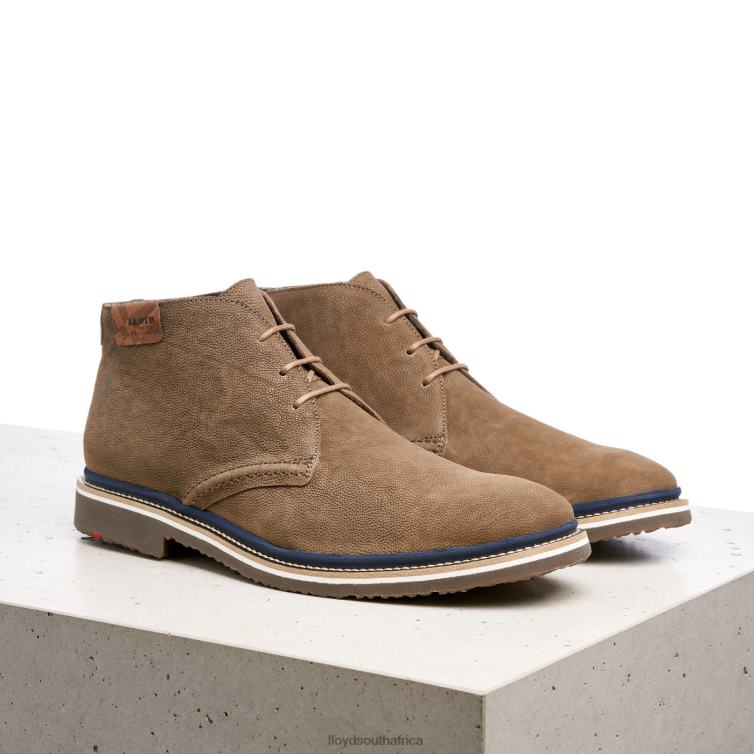 Shoes brown LLOYD NORKO Men 86B4D563