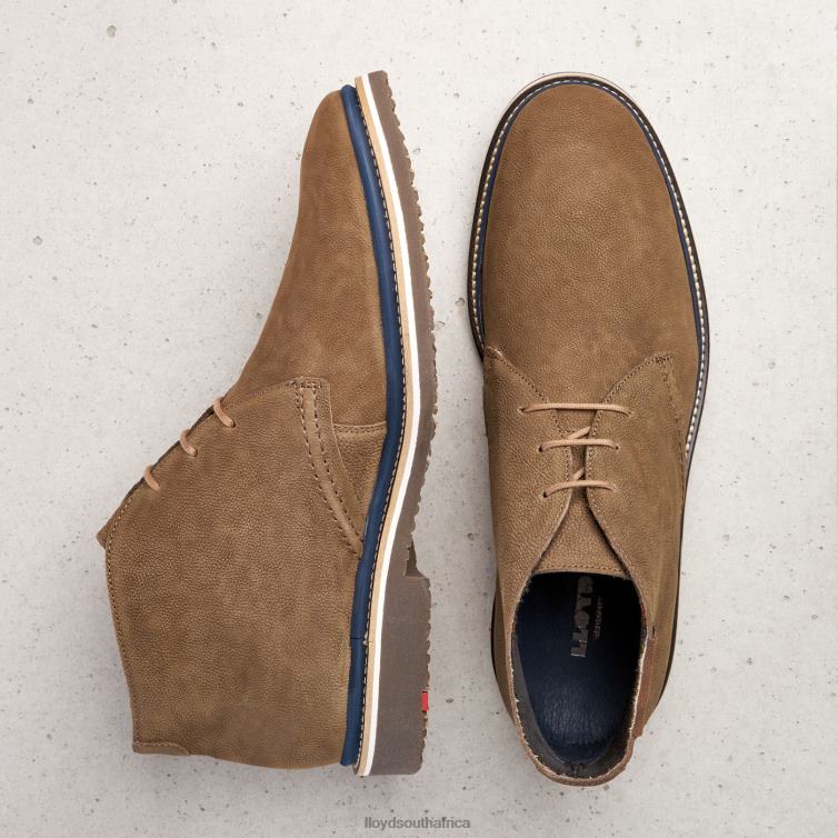 Shoes brown LLOYD NORKO Men 86B4D563