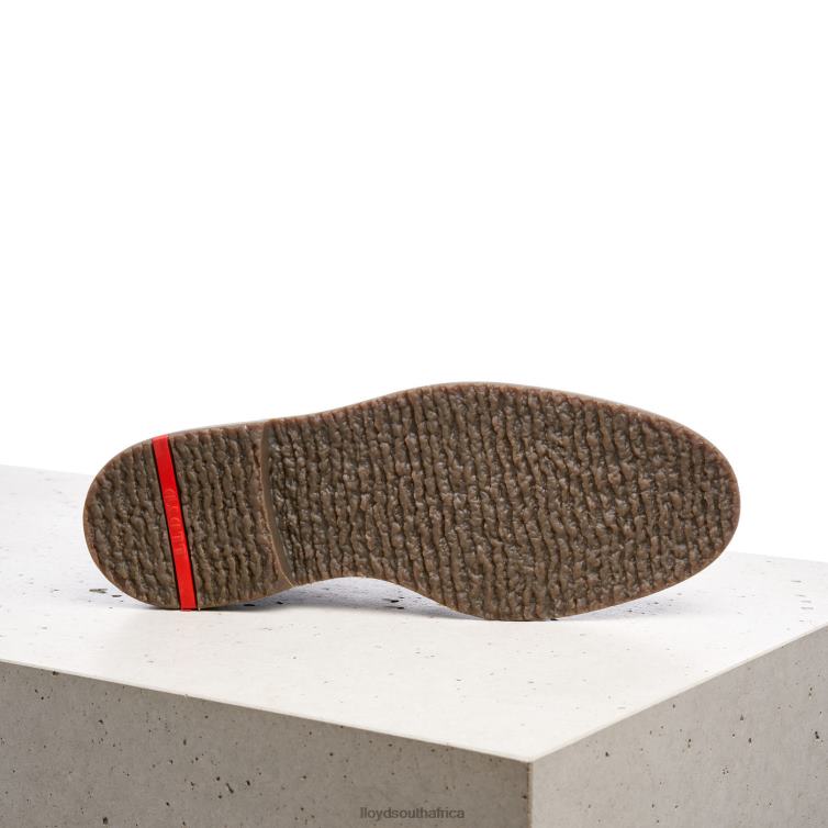 Shoes brown LLOYD NORKO Men 86B4D563