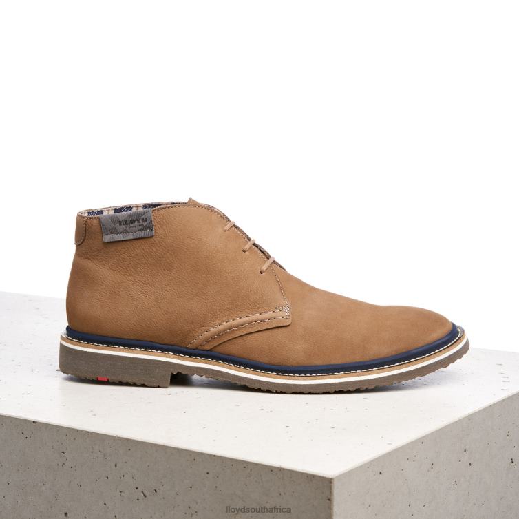 Shoes brown LLOYD NORKO Men 86B4D569