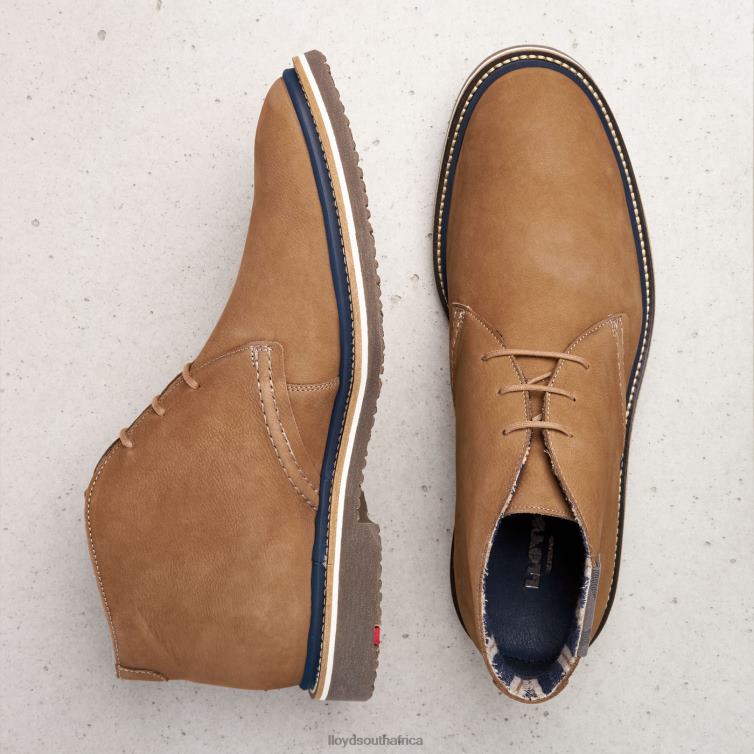 Shoes brown LLOYD NORKO Men 86B4D569