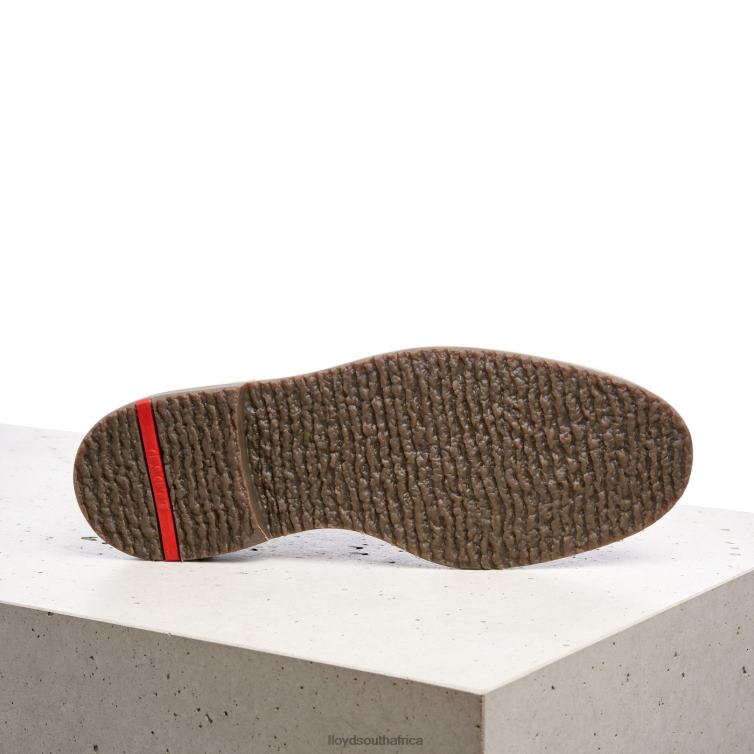 Shoes brown LLOYD NORKO Men 86B4D569