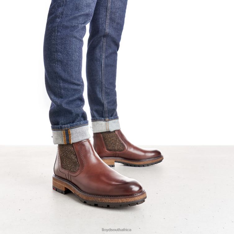 Shoes brown LLOYD ODEM Men 86B4D532