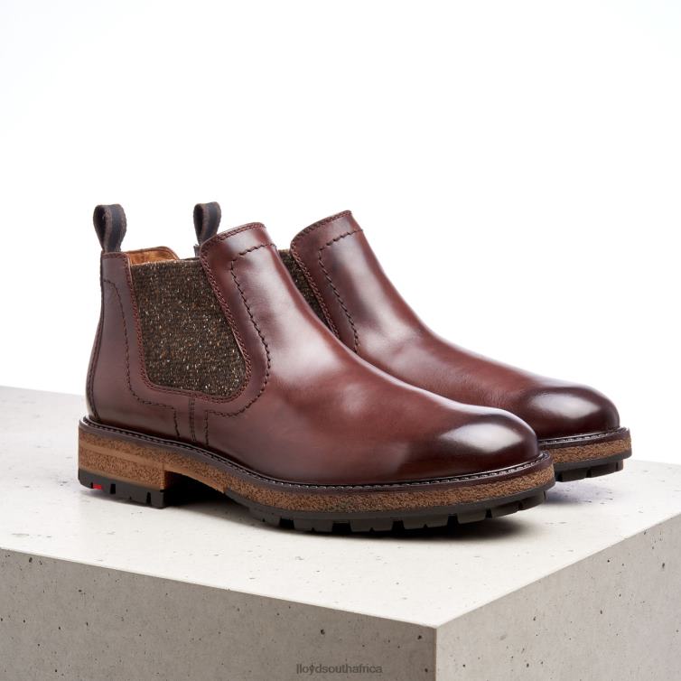 Shoes brown LLOYD ODEM Men 86B4D532