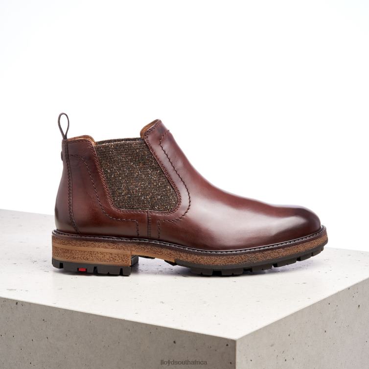 Shoes brown LLOYD ODEM Men 86B4D532