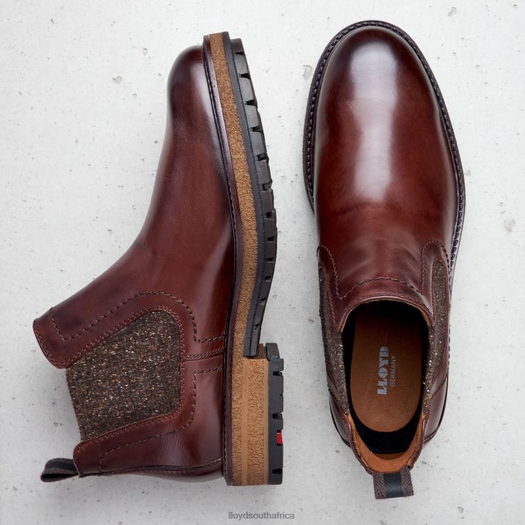 Shoes brown LLOYD ODEM Men 86B4D532