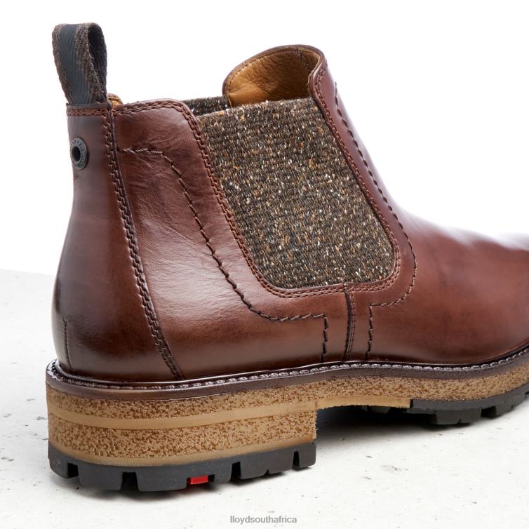 Shoes brown LLOYD ODEM Men 86B4D532