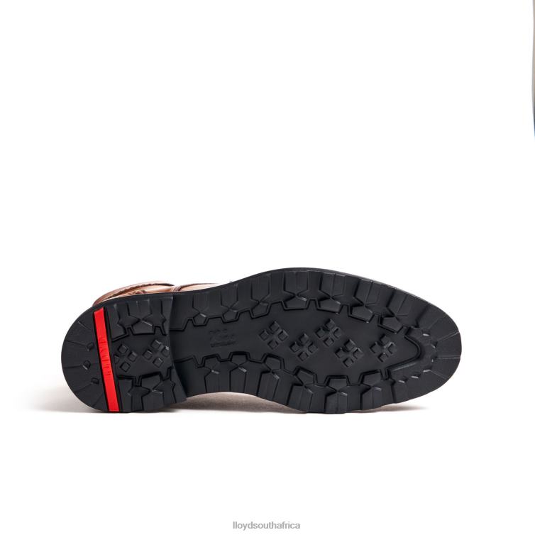 Shoes brown LLOYD OSKO Men 86B4D502