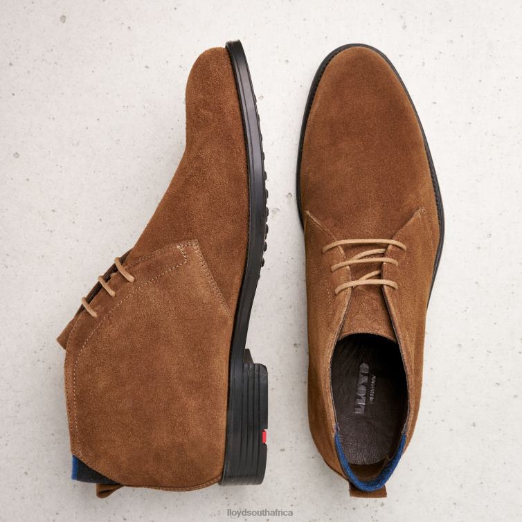 Shoes brown LLOYD PATRIOT Men 86B4D531