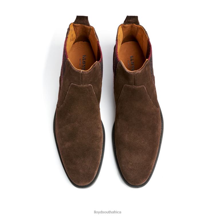 Shoes brown LLOYD PATRON Men 86B4D497