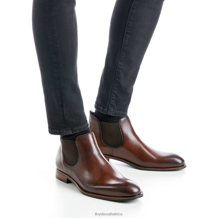 Shoes brown LLOYD SCOUT Men 86B4D239