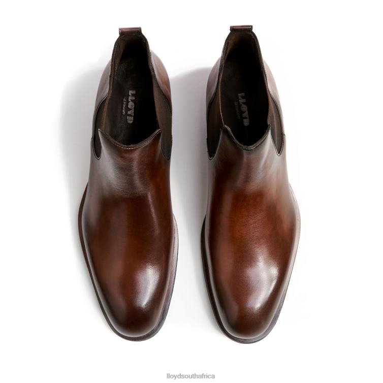 Shoes brown LLOYD SCOUT Men 86B4D239