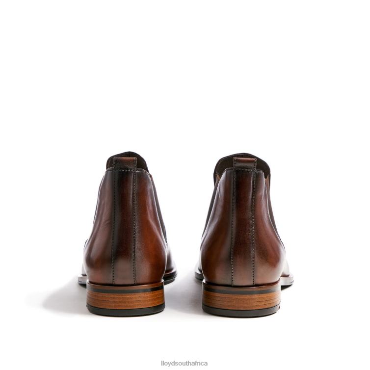 Shoes brown LLOYD SCOUT Men 86B4D239