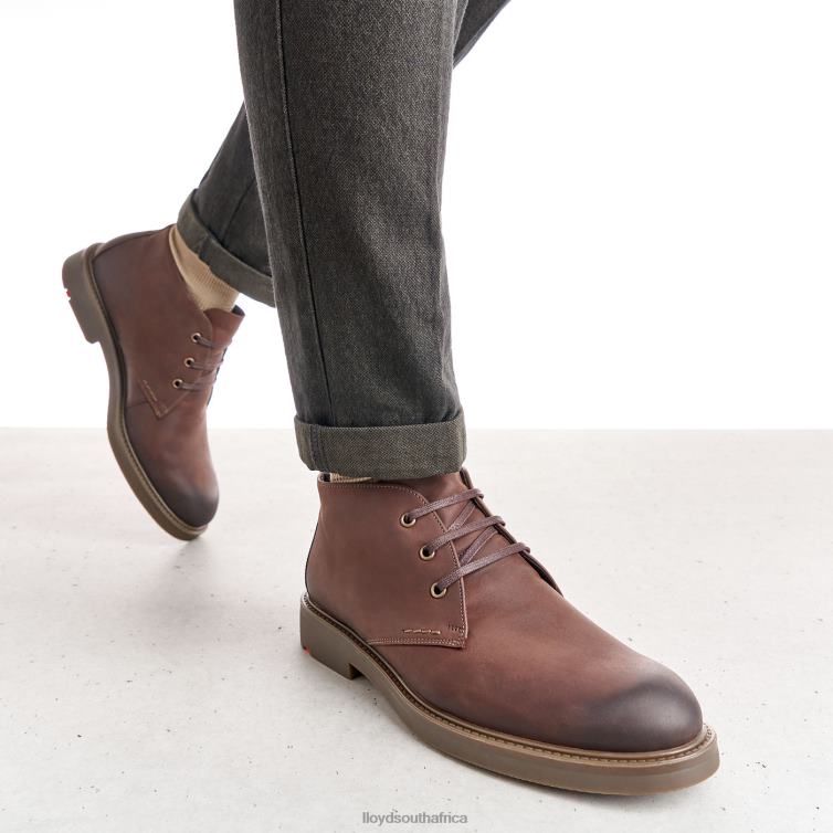 Shoes brown LLOYD SKAL Men 86B4D6
