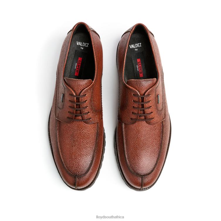 Shoes brown LLOYD VALDEZ Men 86B4D161
