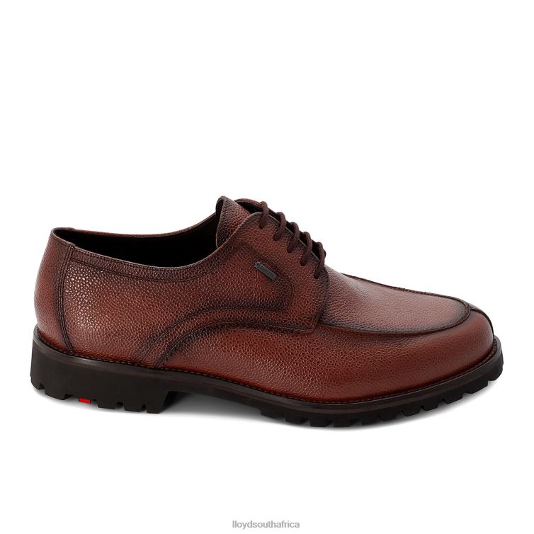 Shoes brown LLOYD VALDEZ Men 86B4D161