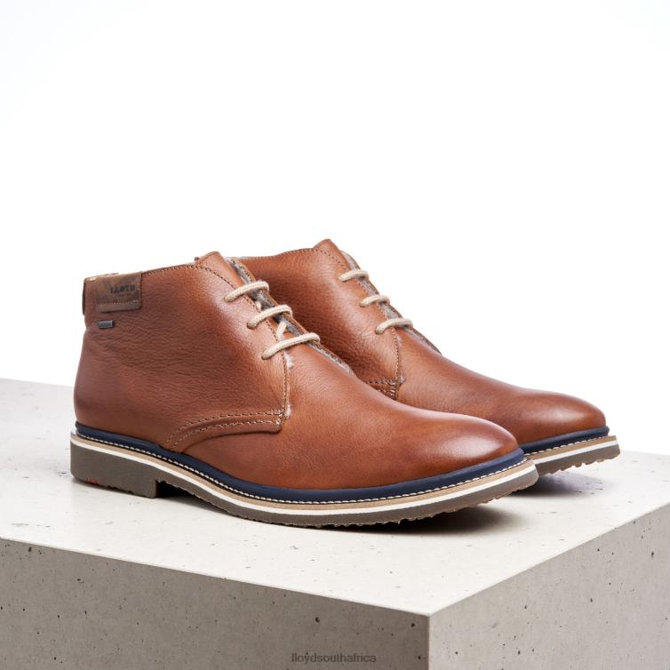 Shoes brown LLOYD VALENCIA Men 86B4D507