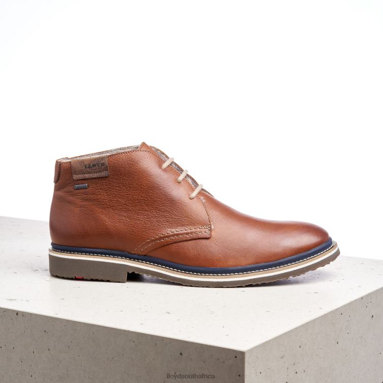 Shoes brown LLOYD VALENCIA Men 86B4D507