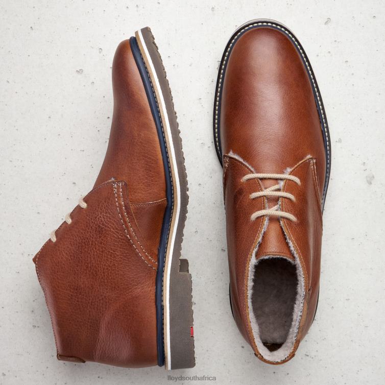 Shoes brown LLOYD VALENCIA Men 86B4D507