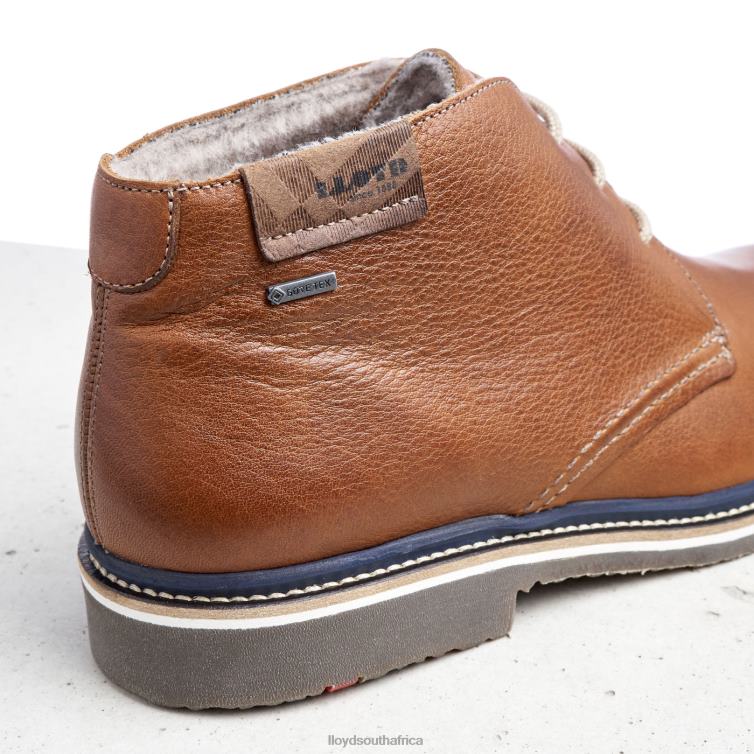 Shoes brown LLOYD VALENCIA Men 86B4D507