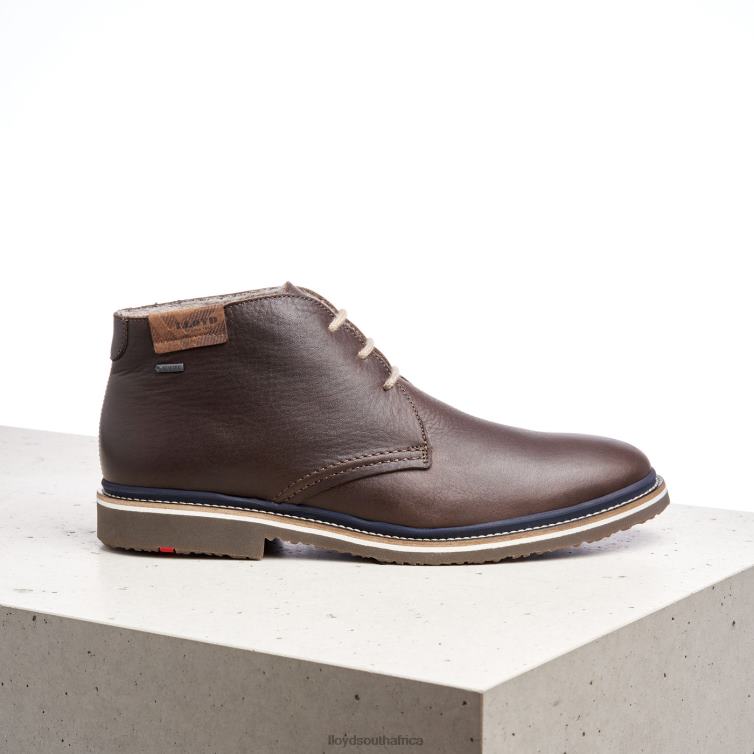 Shoes brown LLOYD VALENCIA Men 86B4D508