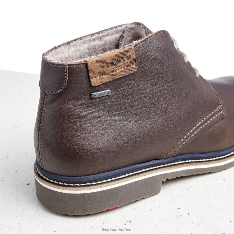 Shoes brown LLOYD VALENCIA Men 86B4D508