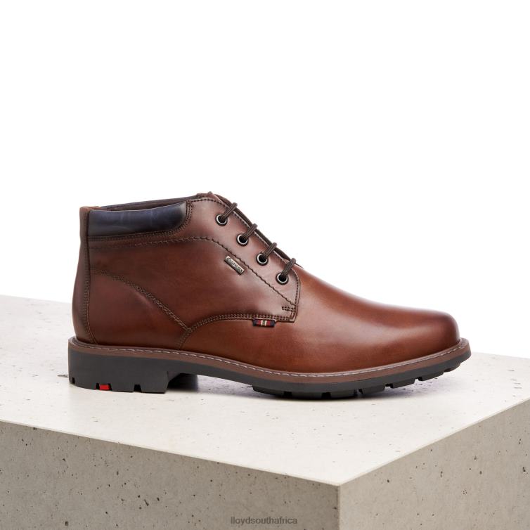 Shoes brown LLOYD VARLEY Men 86B4D533