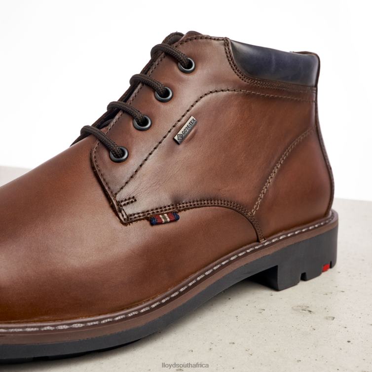 Shoes brown LLOYD VARLEY Men 86B4D533