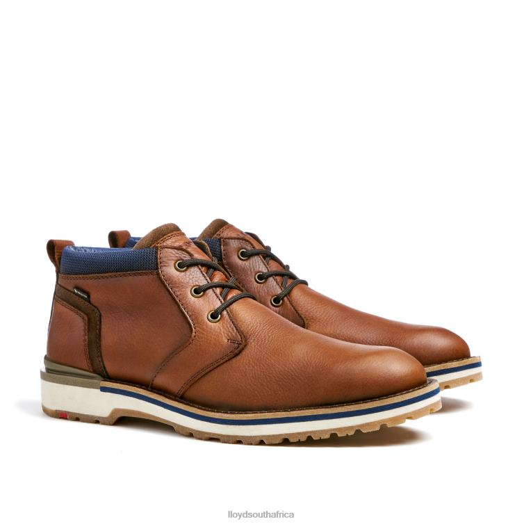 Shoes brown LLOYD VEGAS Men 86B4D511