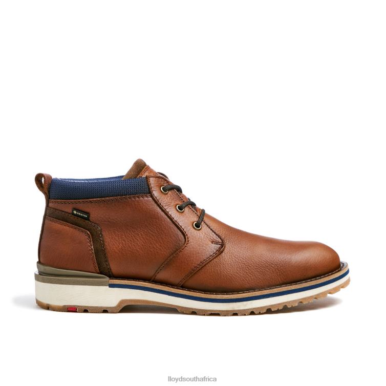 Shoes brown LLOYD VEGAS Men 86B4D511