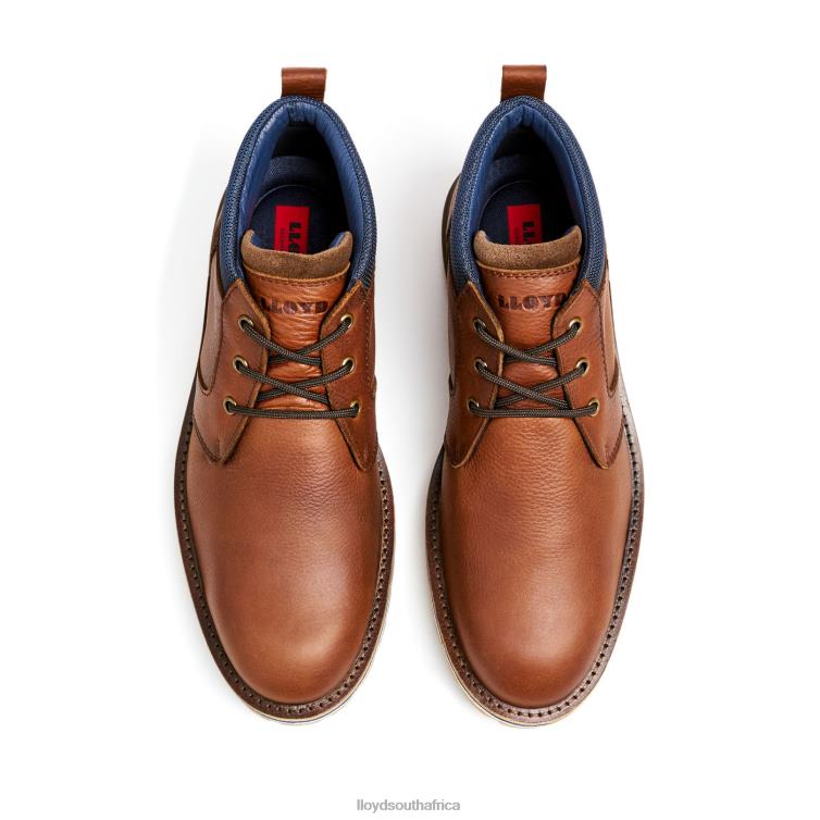 Shoes brown LLOYD VEGAS Men 86B4D511