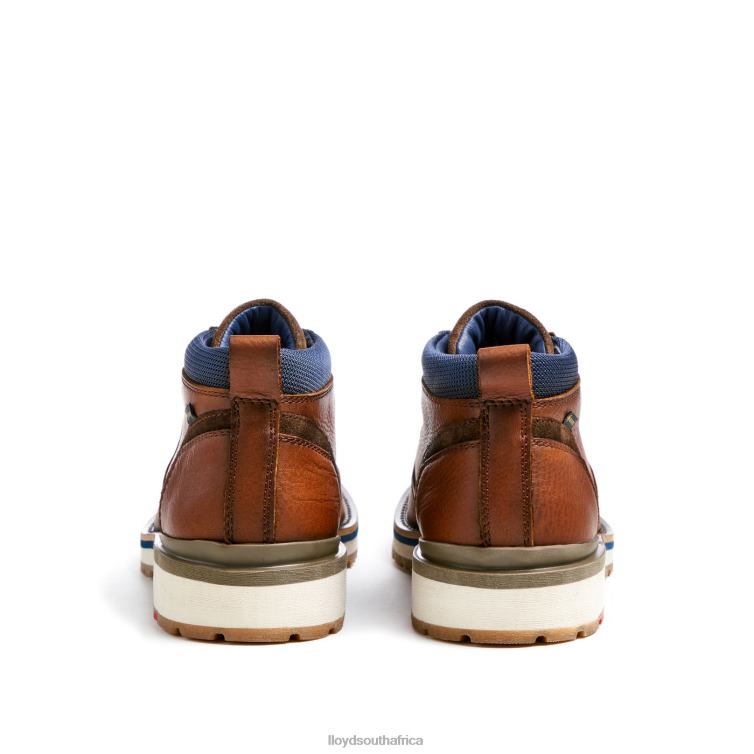 Shoes brown LLOYD VEGAS Men 86B4D511