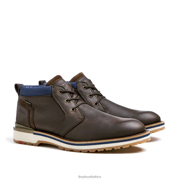 Shoes brown LLOYD VEGAS Men 86B4D512