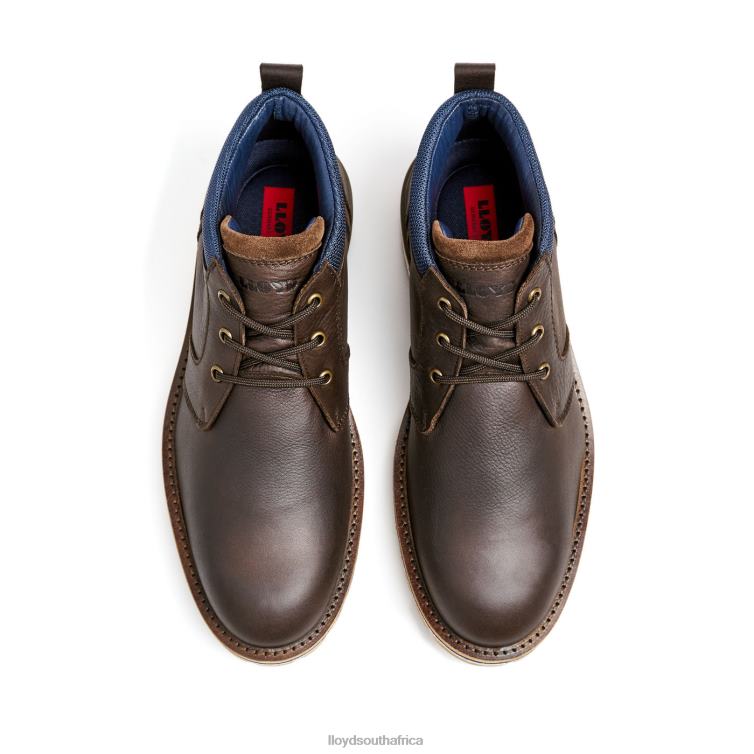 Shoes brown LLOYD VEGAS Men 86B4D512