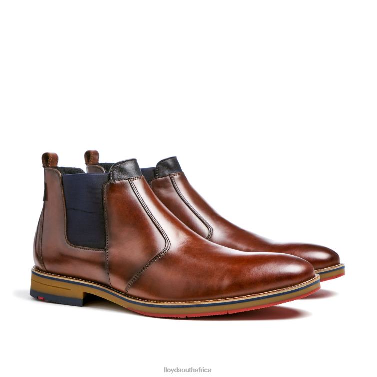 Shoes brown LLOYD VESUV Men 86B4D145