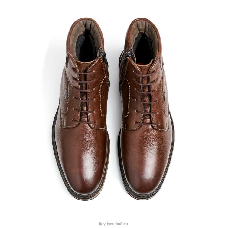 Shoes brown LLOYD VINE Men 86B4D513