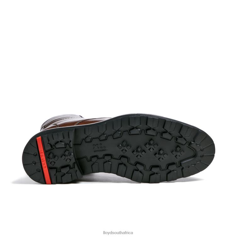 Shoes brown LLOYD VINE Men 86B4D513